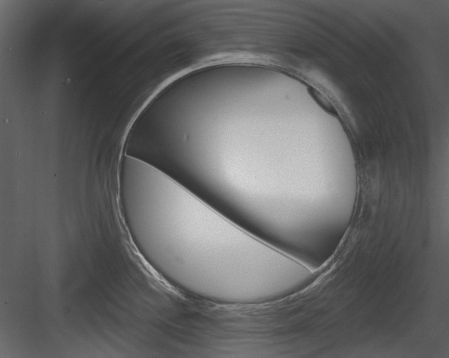 X0000084541244200702230900
