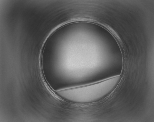 X0000084541246200702230900