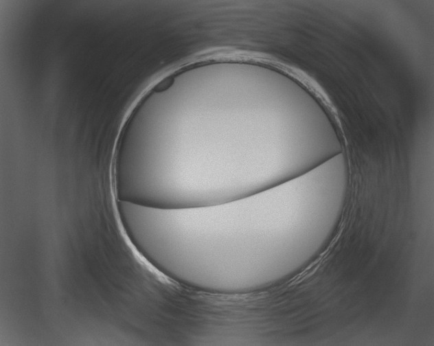 X0000084541247200702230900