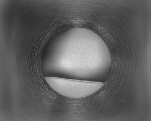 X0000084541249200702230859
