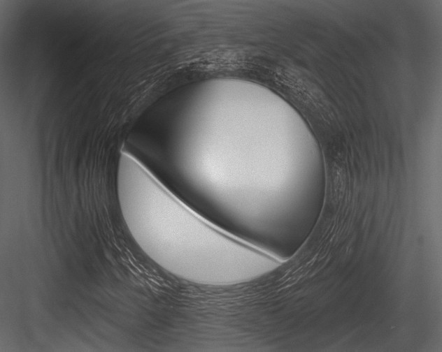 X0000084541250200702230859
