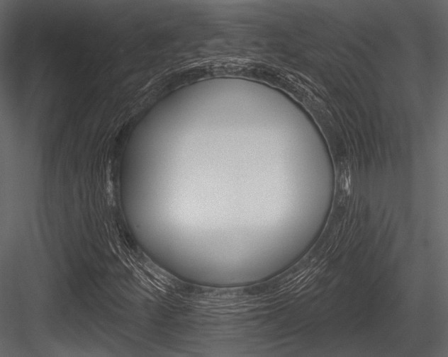 X0000084541252200702230859
