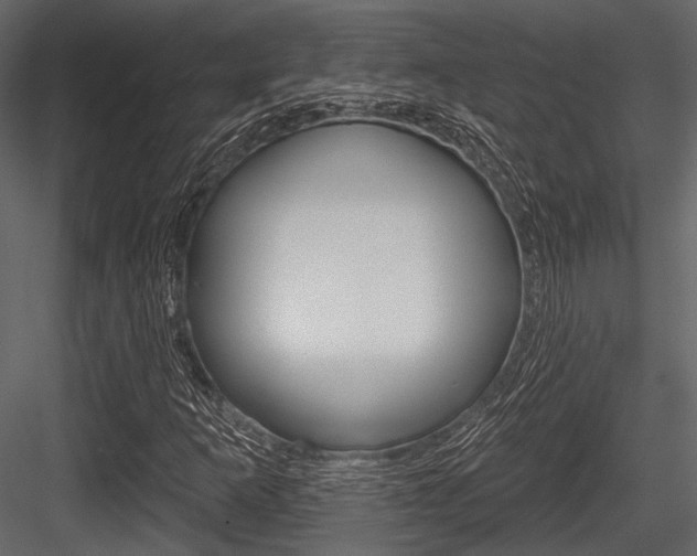 X0000084541253200702230859
