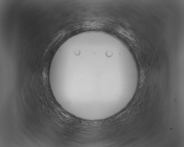 X0000084541254200702230859