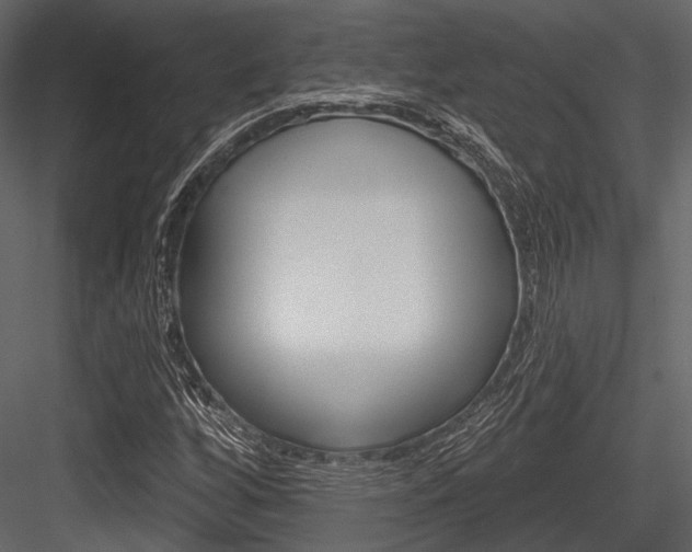 X0000084541256200702230859