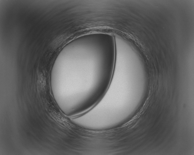 X0000084541257200702230859