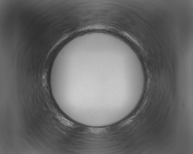 X0000084541258200702230859