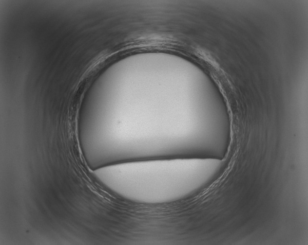 X0000084541259200702230859