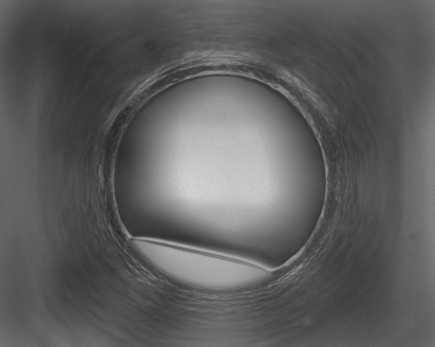 X0000084541261200702230859