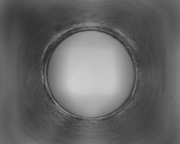 X0000084541262200702230859