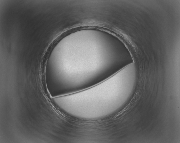 X0000084541264200702230859