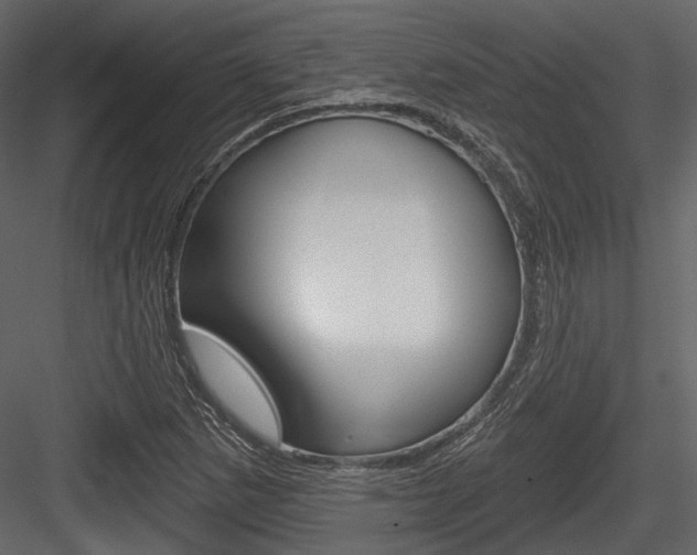 X0000084541265200702230859