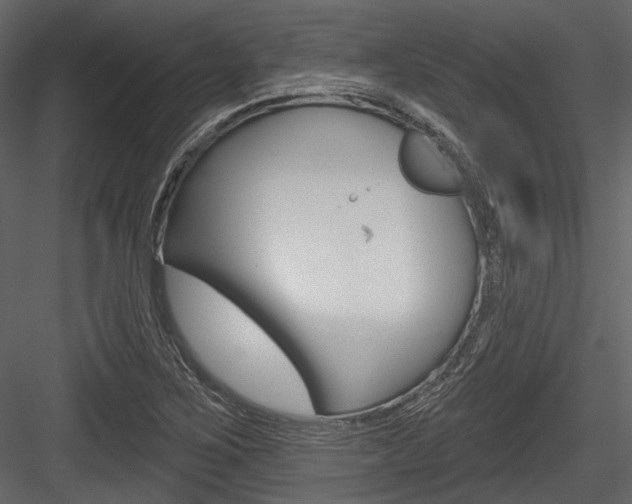 X0000084541267200702230859