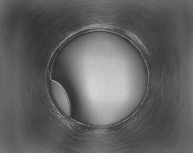 X0000084541268200702230859