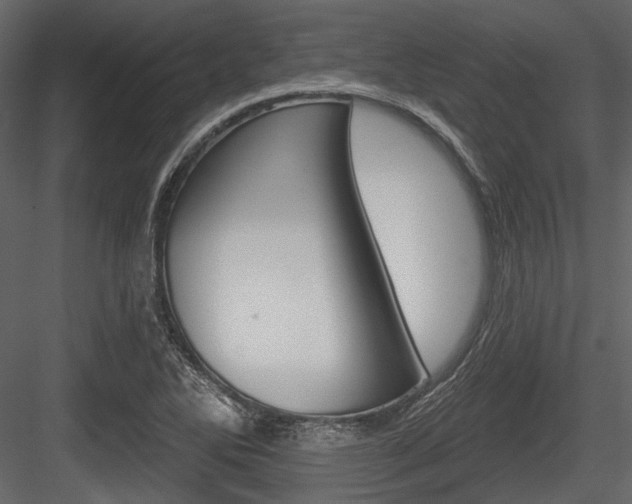 X0000084541270200702230859