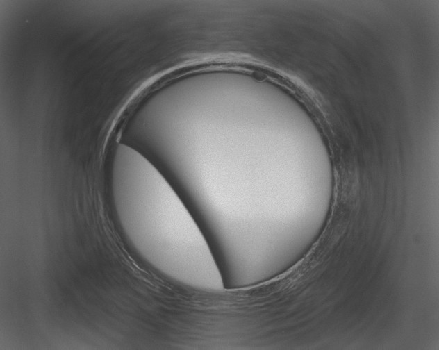 X0000084541271200702230859