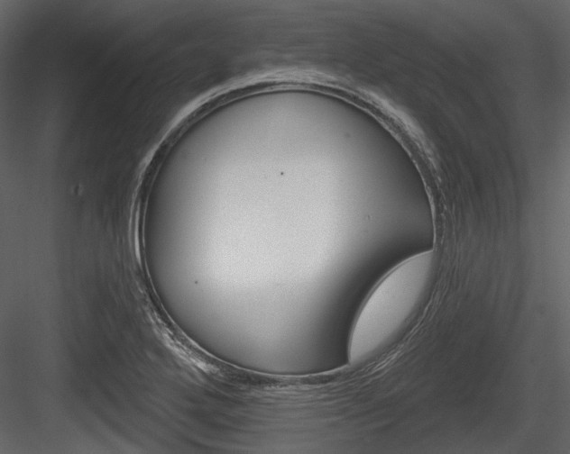 X0000084541272200702230859