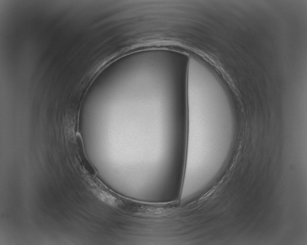 X0000084541273200702230859