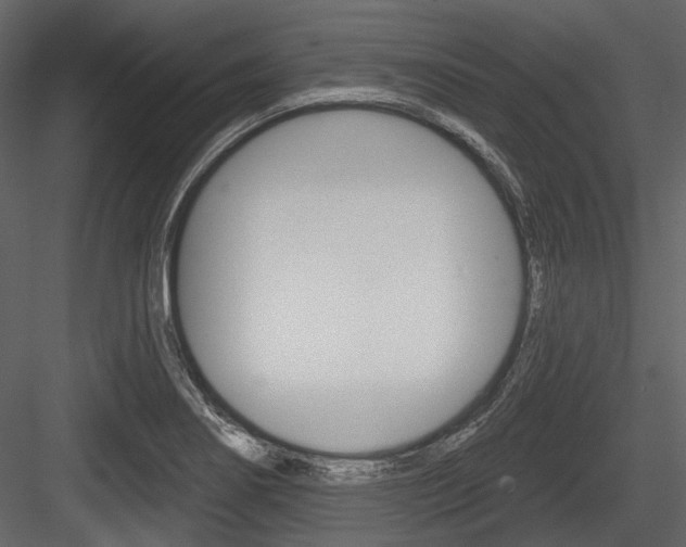 X0000084541274200702230859