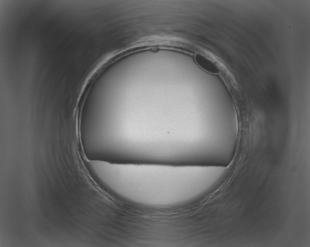 X0000084541275200702230859