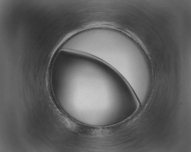 X0000084541277200702230859