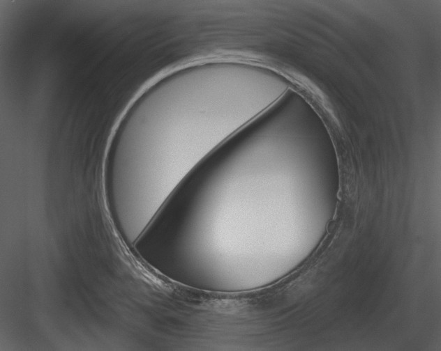 X0000084541280200702230859