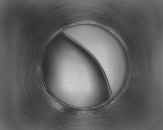 X0000084541281200702230859