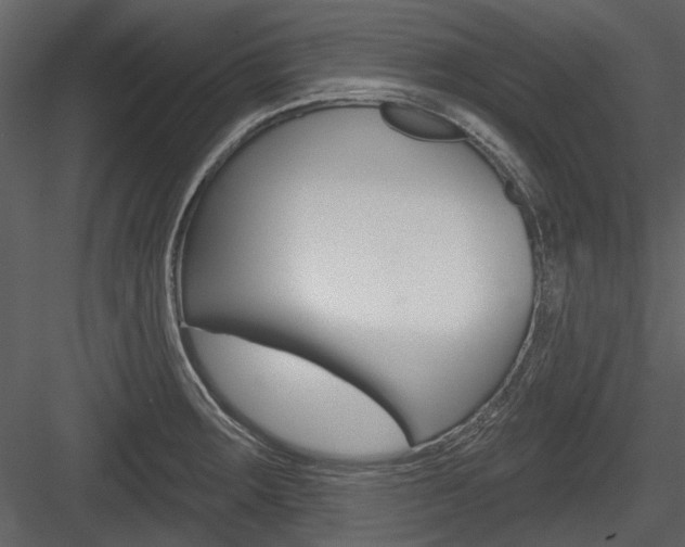 X0000084541283200702230858
