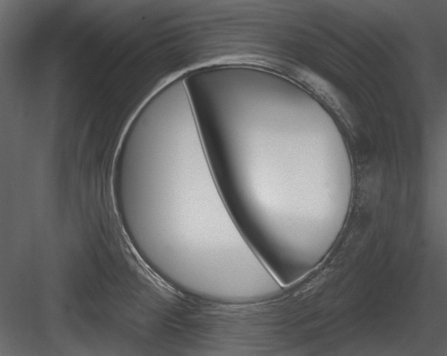X0000084541284200702230858