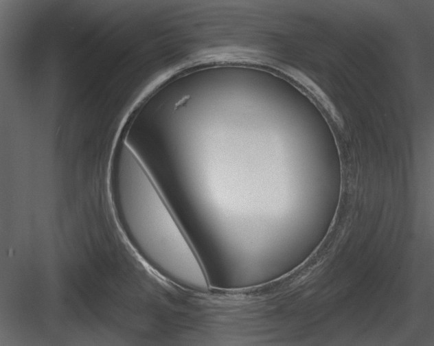 X0000084541285200702230858