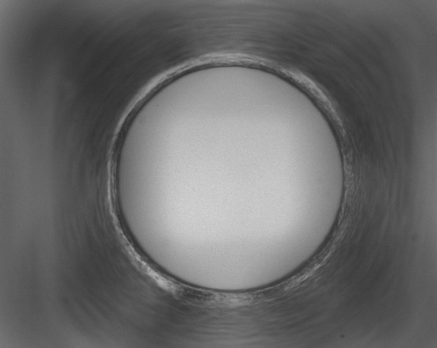 X0000084541286200702230858