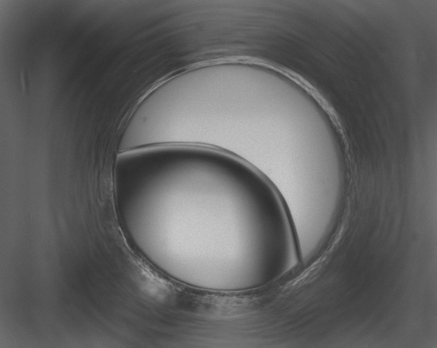 X0000084541289200702230858