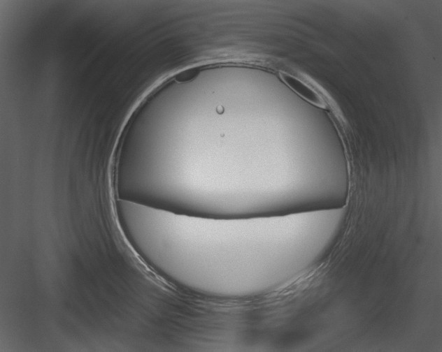 X0000084541291200702230858