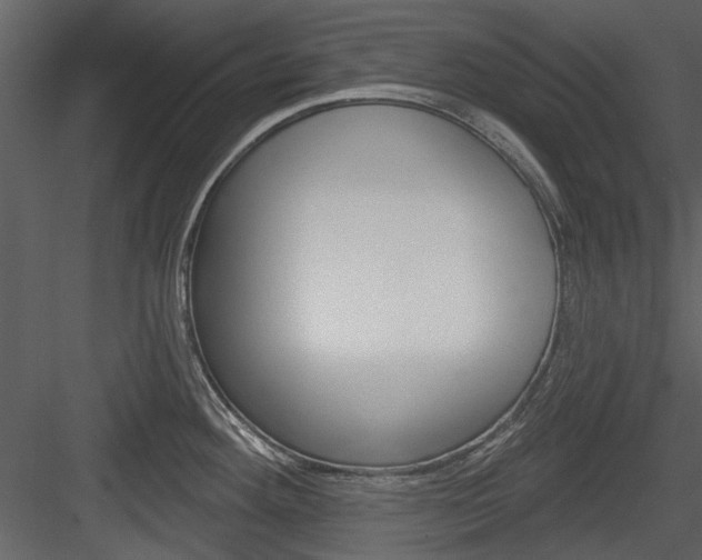 X0000084541292200702230858