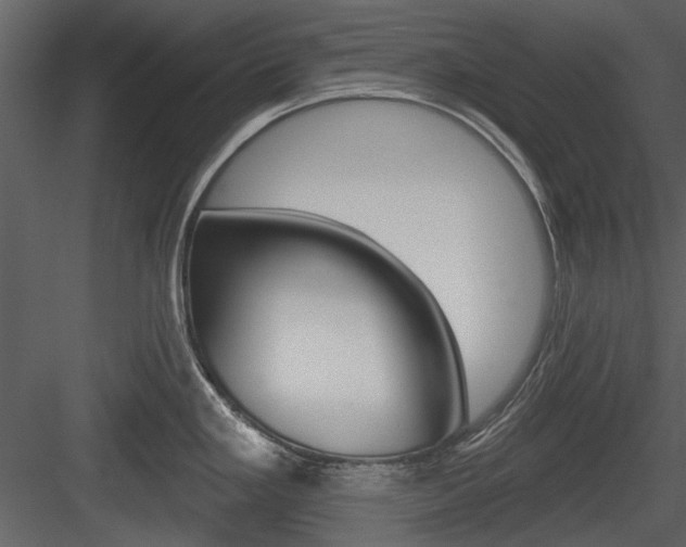 X0000084541293200702230858