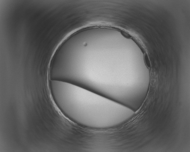 X0000084541295200702230858