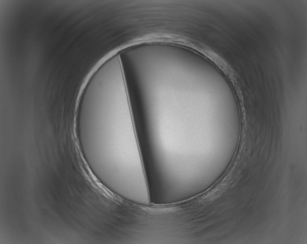X0000084541296200702230858