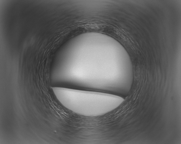 X0000084541297200702230857