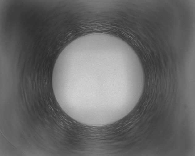 X0000084541298200702230857