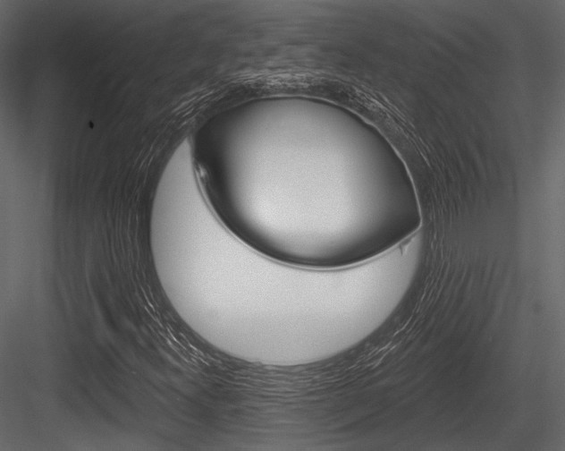 X0000084541300200702230857