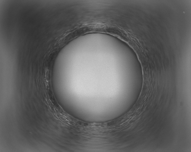 X0000084541301200702230857