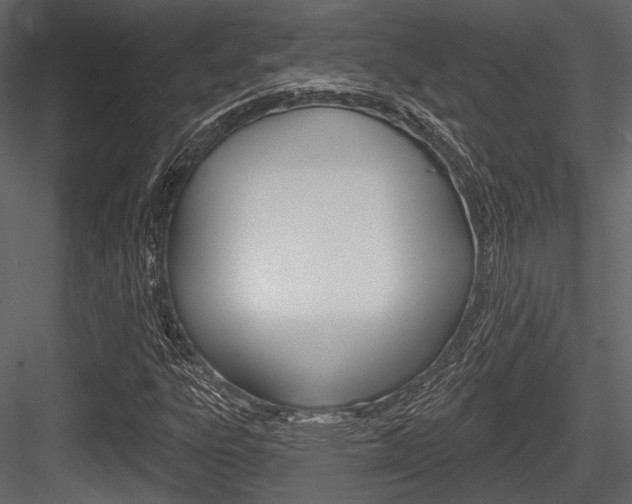 X0000084541303200702230858