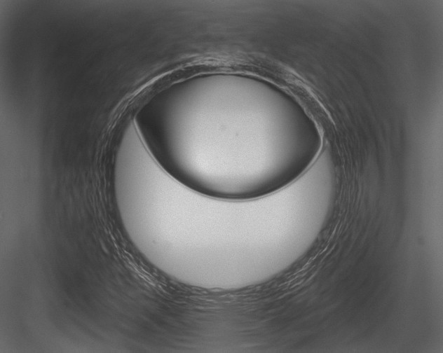 X0000084541304200702230858