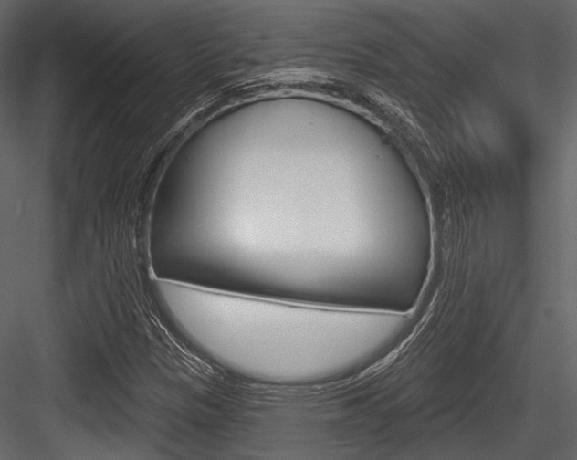 X0000084541305200702230858