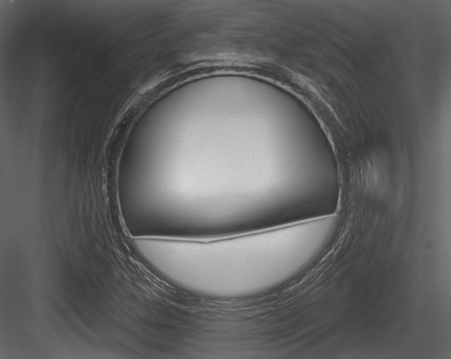 X0000084541307200702230858