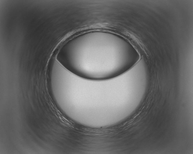 X0000084541308200702230858