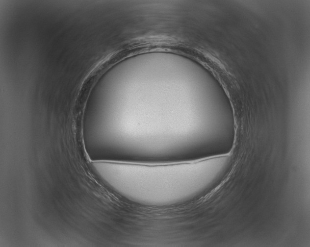 X0000084541309200702230858