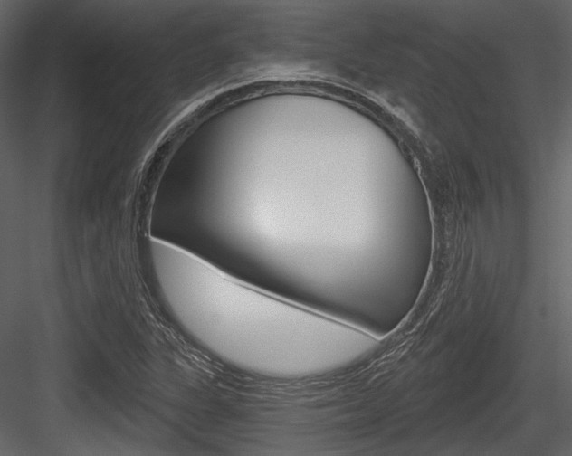 X0000084541311200702230858