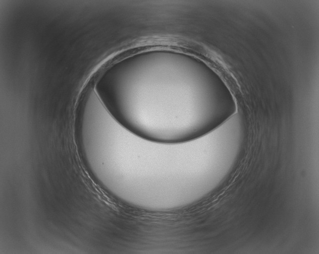 X0000084541312200702230858
