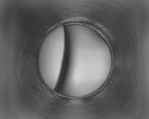X0000084541313200702230858